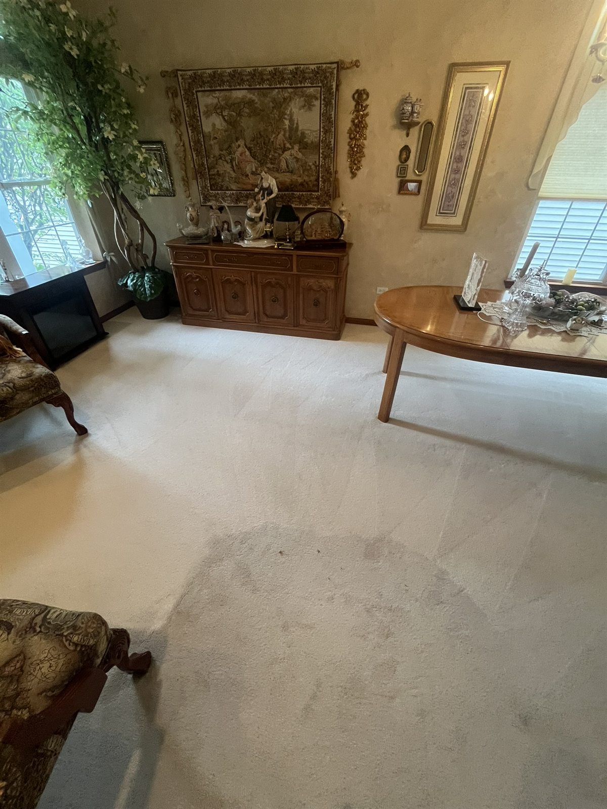 A freshly cleaned wall-to-wall carpet in a lived-in home